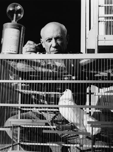 Picasso y sus palomas