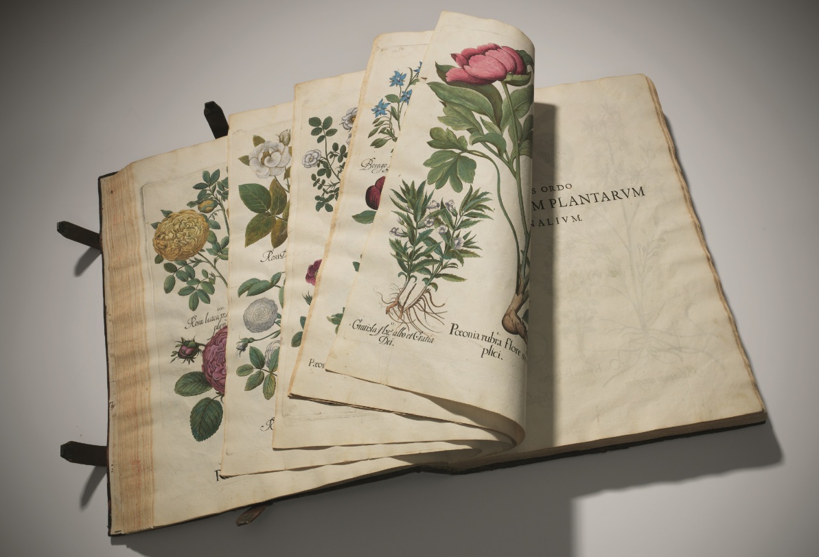 Christies Florilegium
