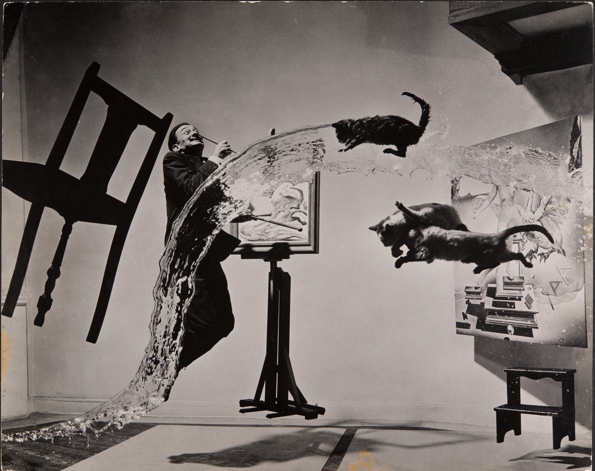 Dali atomicus