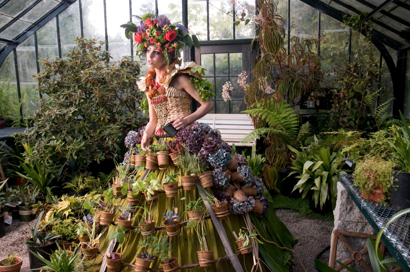 Ecoestetica