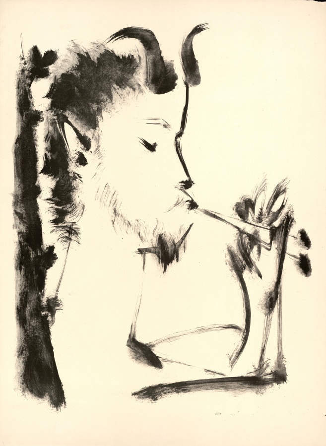 Picasso Mediterraneo